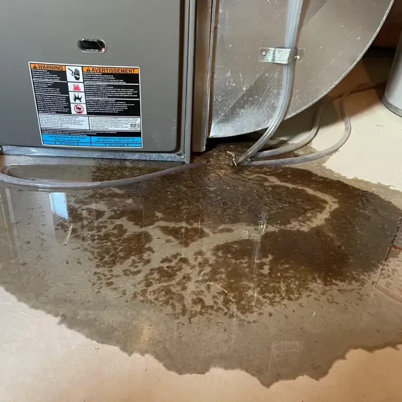 Appliance Leak Cleanup in White Center, WA